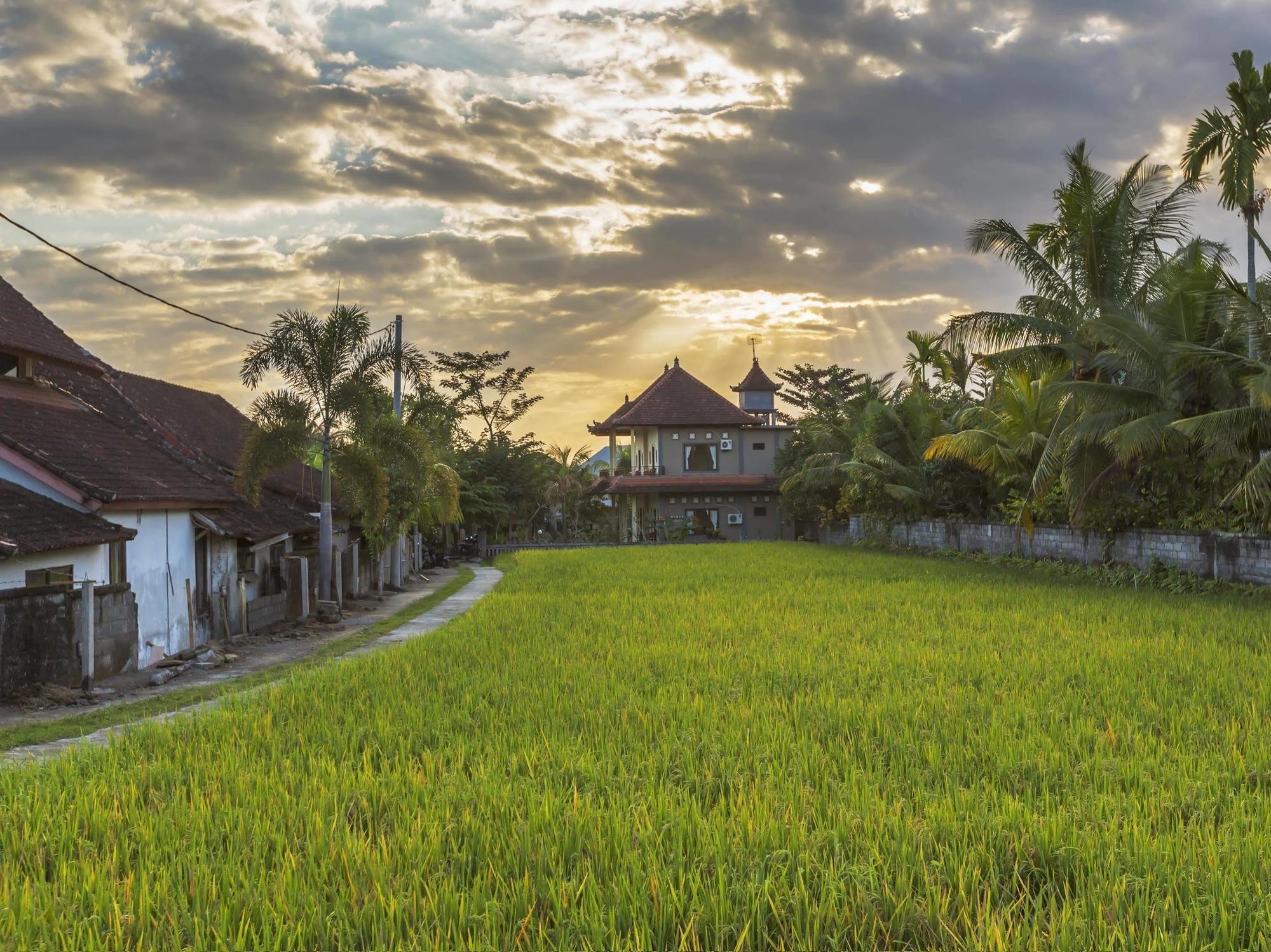 Abipraya Ubud 외부 사진